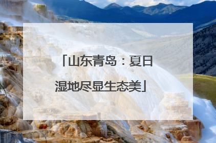 山东青岛：夏日湿地尽显生态美